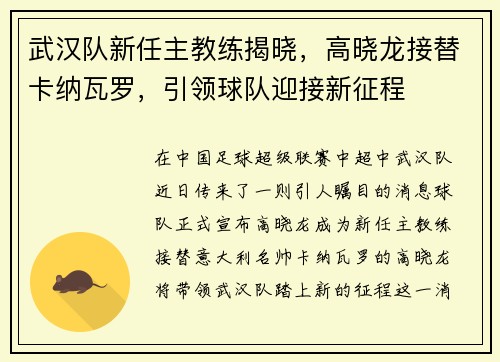 武汉队新任主教练揭晓，高晓龙接替卡纳瓦罗，引领球队迎接新征程